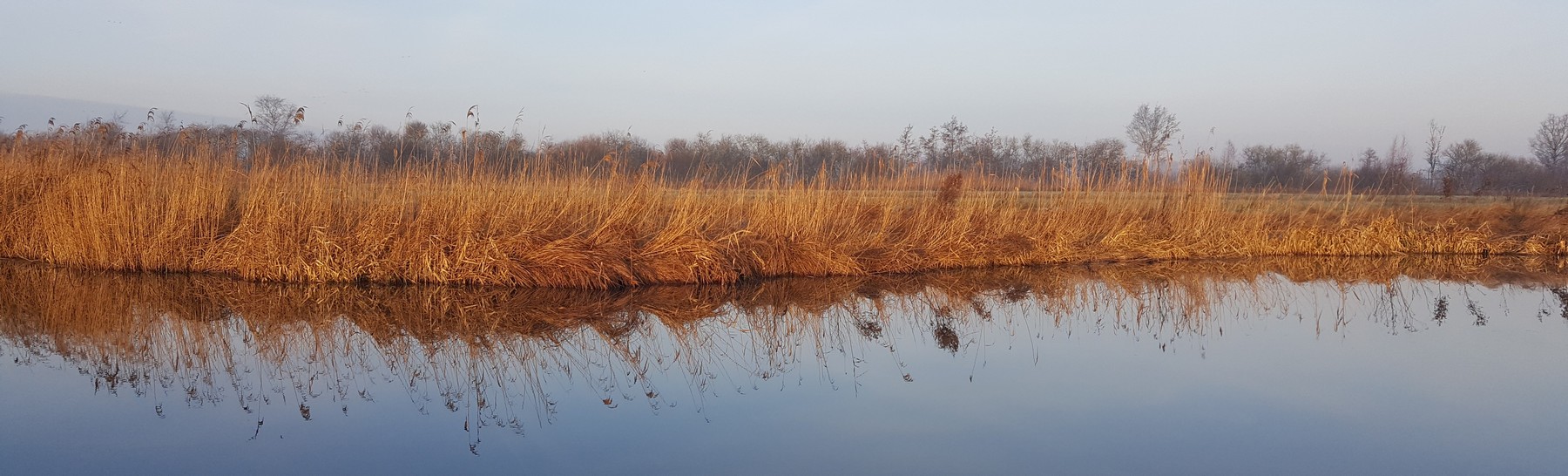 contextueel werken